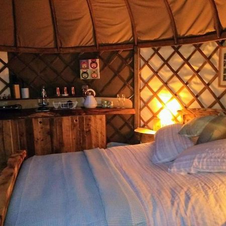 Bembridge Harbour Yurt - Log Burner - Wifi Villa Eksteriør bilde